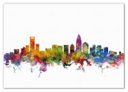 Medium Charlotte North Carolina Watercolour Skyline (Canvas)