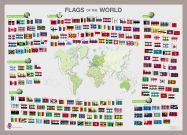 Flags of the World poster (Pinboard & framed - Silver)