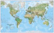 World Wall Map Environmental