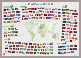 Flags of the World poster (Pinboard & framed - Silver)
