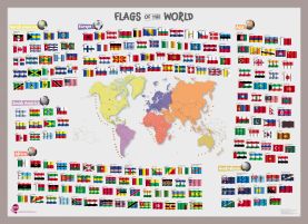 Primary Flags of the World poster (Pinboard & framed - Silver)