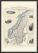 Small Vintage John Tallis Map of Sweden and Norway 1851 (Pinboard & wood frame - Black)
