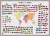 Primary Flags of the World poster (Pinboard & framed - Silver)