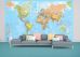Political World Map Wallpaper