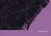 Barcelona City Street Map Print Mauve