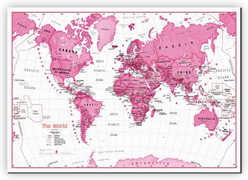 Large Children's Art Map of the World Pink (Canvas)